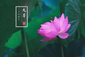 大暑节气的特点和风俗