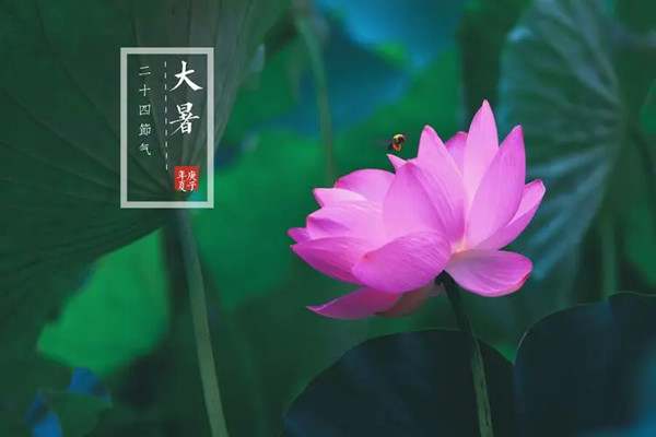 大暑节气的特点和风俗