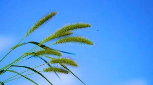 夏天炎热关心祝福语简短50句