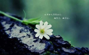 心灵鸡汤经典语录励志99句