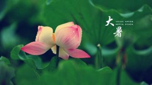 大暑祝福语65句