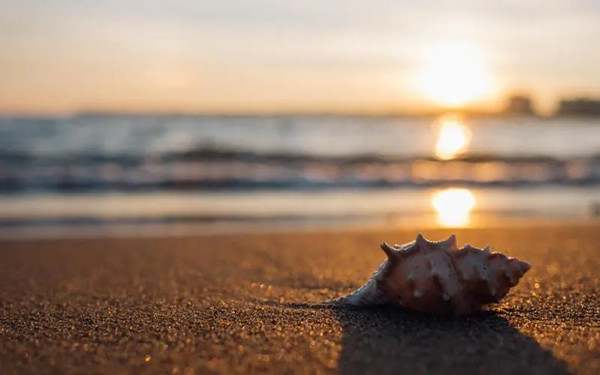 描写夏天的经典句子大全