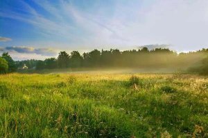 夏天的文案短句干净治愈62句