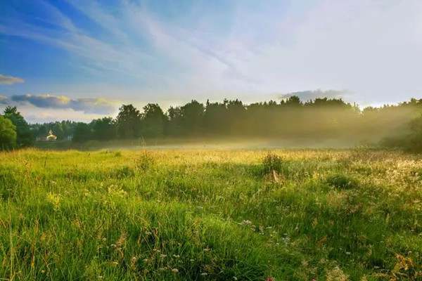 夏天的文案短句干净治愈