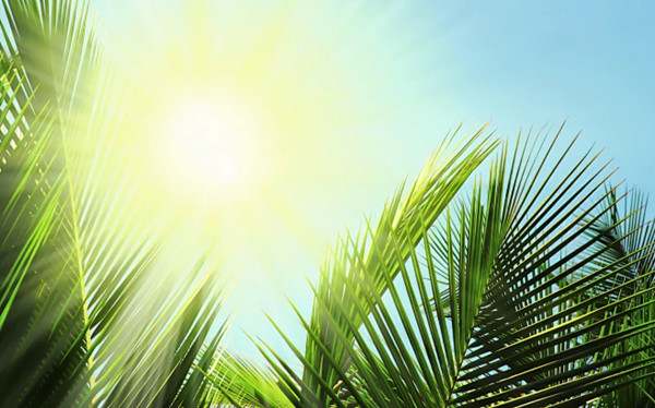 60个形容夏天天热的成语