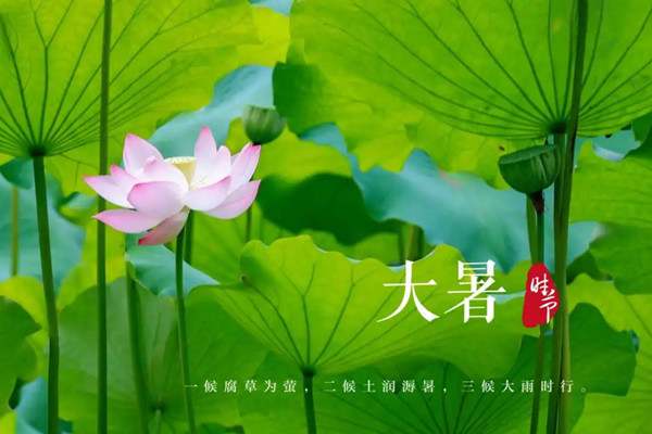 大暑节气祝福语句子50句