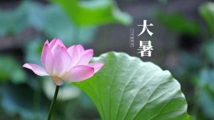 大暑节气炎热天气祝福语简短句子120句