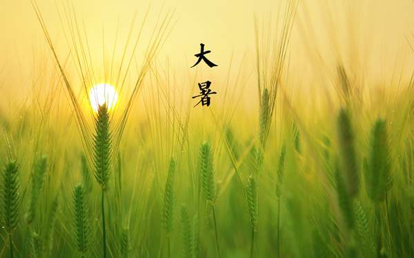 大暑节气炎热夏天关心祝福语54句