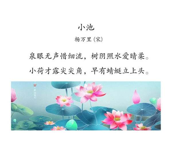 描写夏天的成语、俗语、范文