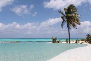 关于描写夏天的段落