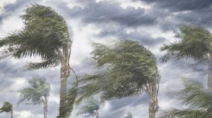 台风来了提醒大家注意安全贴心话提示语140句