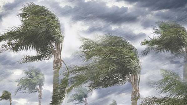 台风来了提醒大家注意安全贴心话提示语140句