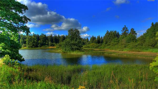 烈日炎炎的夏天关心祝福寄语，给您送来一丝凉爽