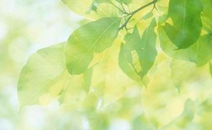 形容夏天天气很热的句子文案96句