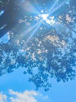 炎热夏天的关心祝福语简短一句话57句