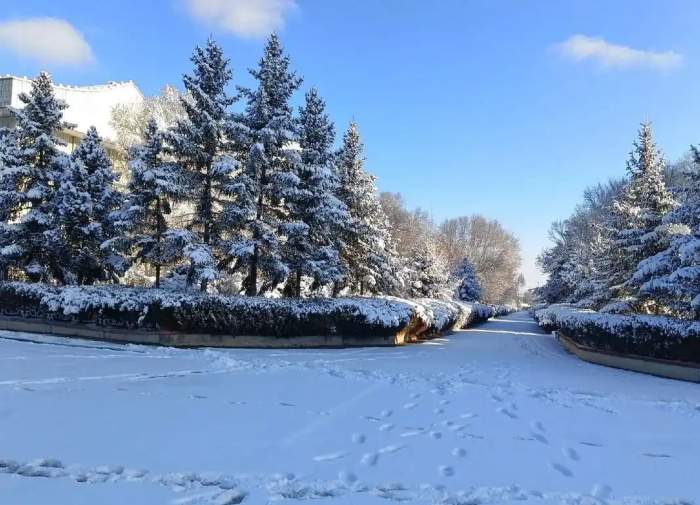 30句描写冬天的句子