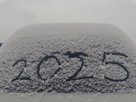 冬天的第一场雪作文