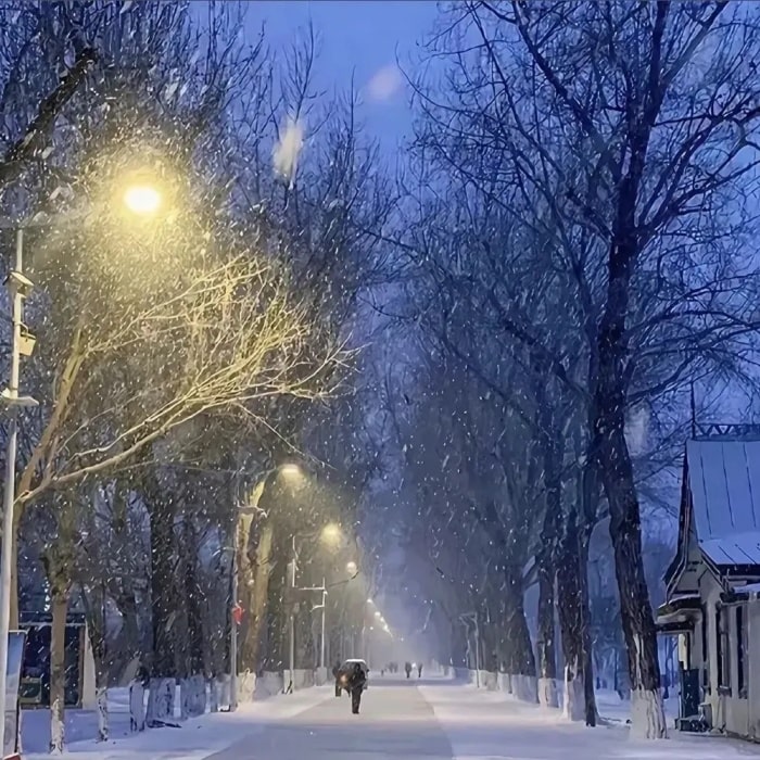 25句适合下雪天发朋友圈的文案，浪漫唯美