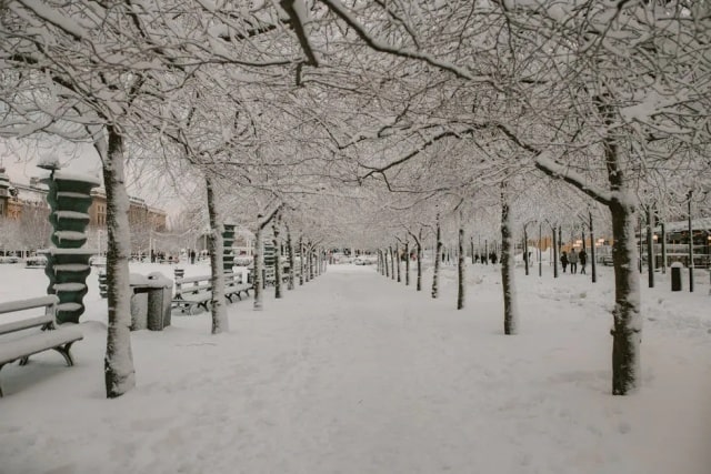 30句冬至古诗词，每一句都很绝！