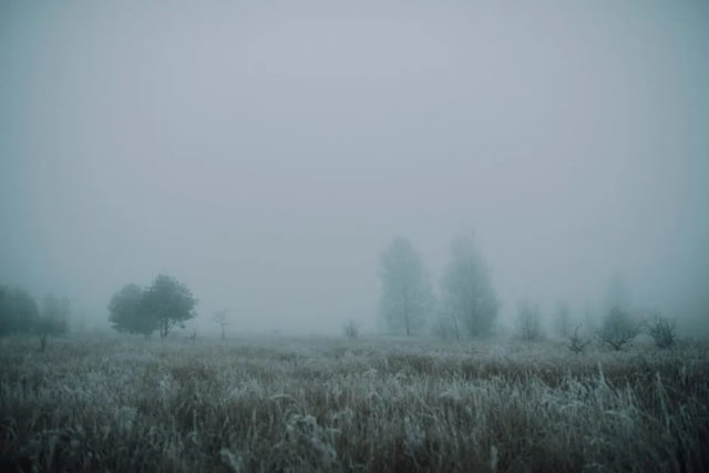 30句冬至古诗词，每一句都很绝！