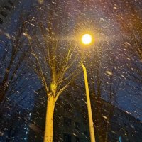 适合下雪发朋友圈的文案