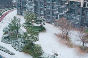 2026年的第一场雪作文