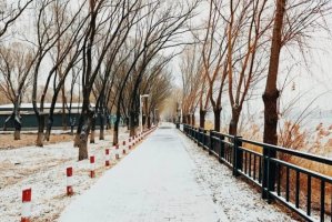 美丽的冬天作文500字左右