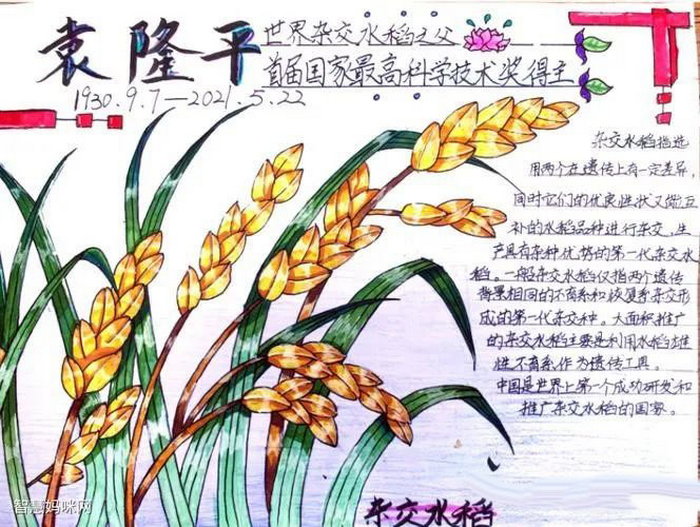 五年级杰出人物手抄报图片