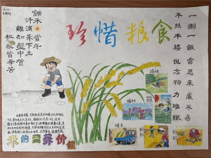 厉行节俭珍惜粮食手抄报图片