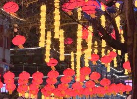 热闹的春节作文