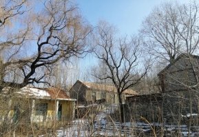 乡村即景作文五年级