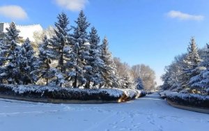 我爱冬天作文800字