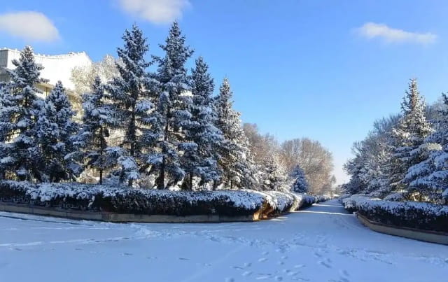 我爱冬天作文800字