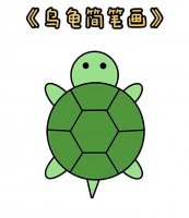 超简单乌龟简笔画图片教程