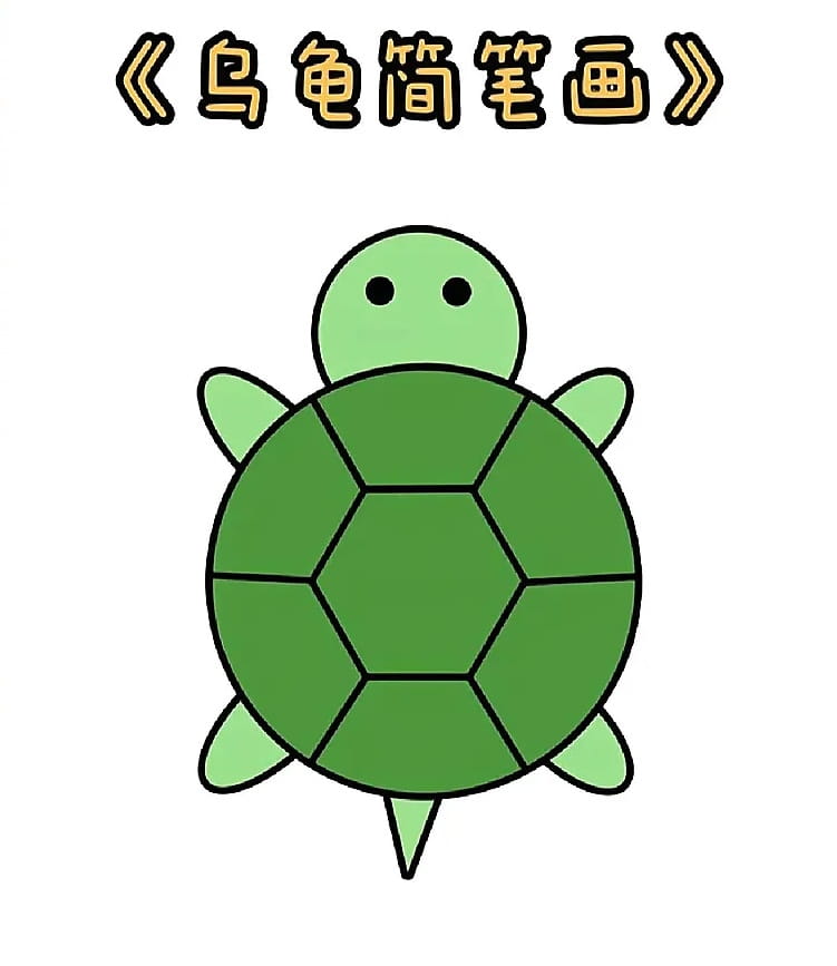超简单乌龟简笔画图片教程