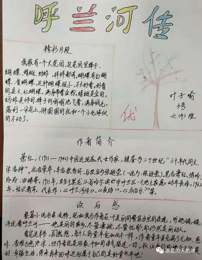 呼兰河传读书小报五年级