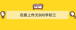 在路上作文800字初三（精选3篇）