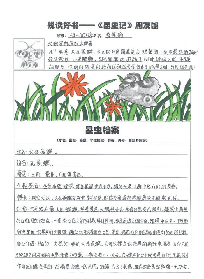 昆虫记昆虫介绍卡手抄报