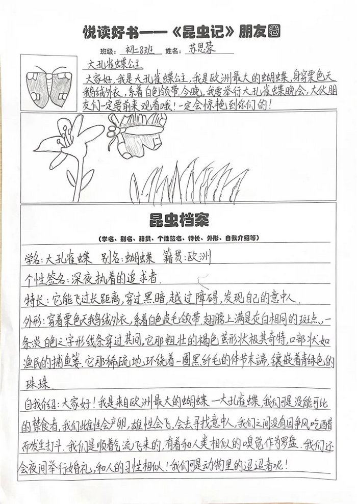 《昆虫记》的昆虫档案手抄报
