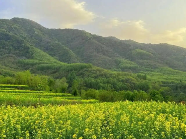 描写春天的作文400字