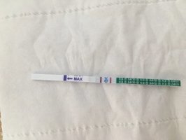 早孕试纸同房后七天能测出来吗