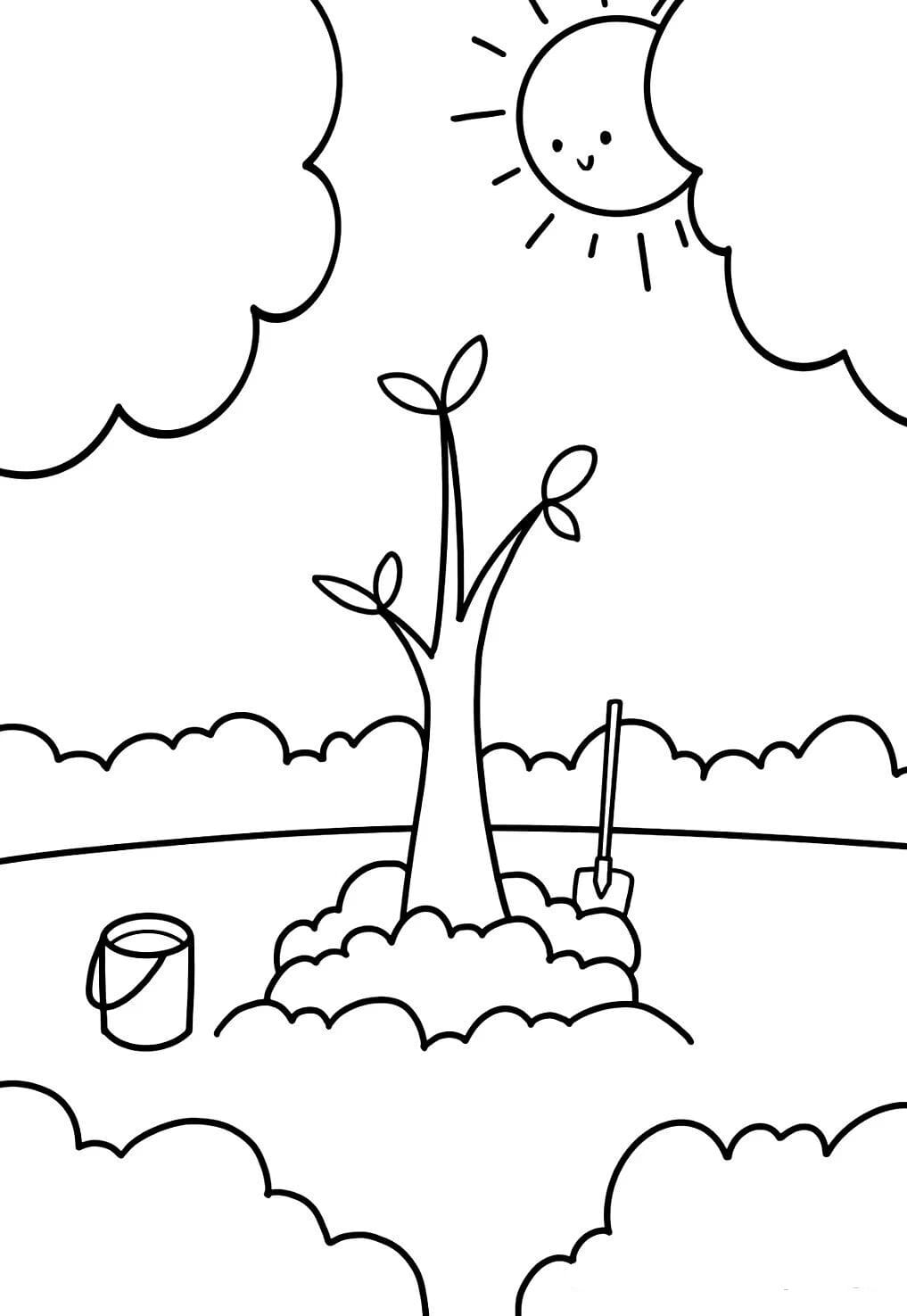 3.12植树节儿童画，把春天种进画里