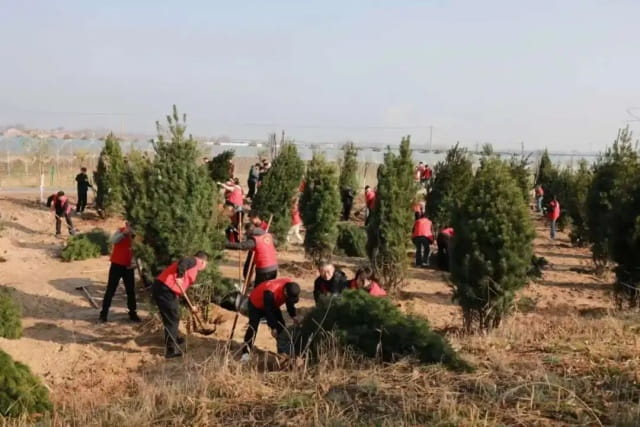 植树节作文1000字高中生