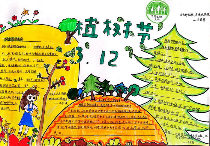植树节手抄报漂亮