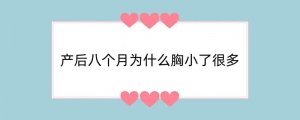 产后八个月为什么胸小了很多