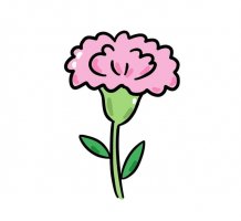 超级简单花的简笔画图片教程