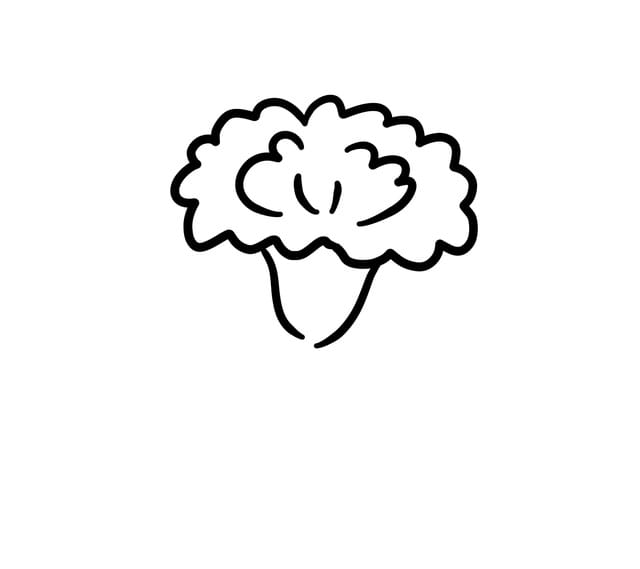 超级简单花的简笔画图片教程