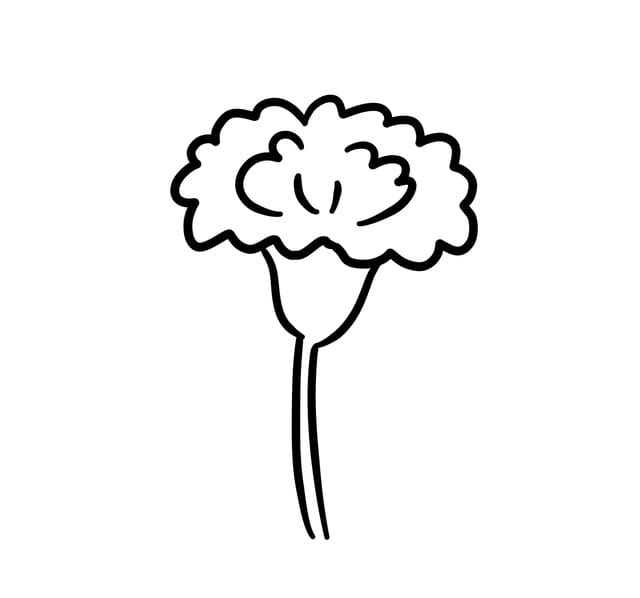 超级简单花的简笔画图片教程